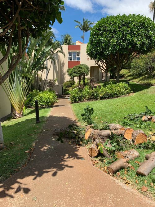 apt-3805-3150 Wailea Alanui Dr, Kihei, HI, 96753-7765 | Card Image