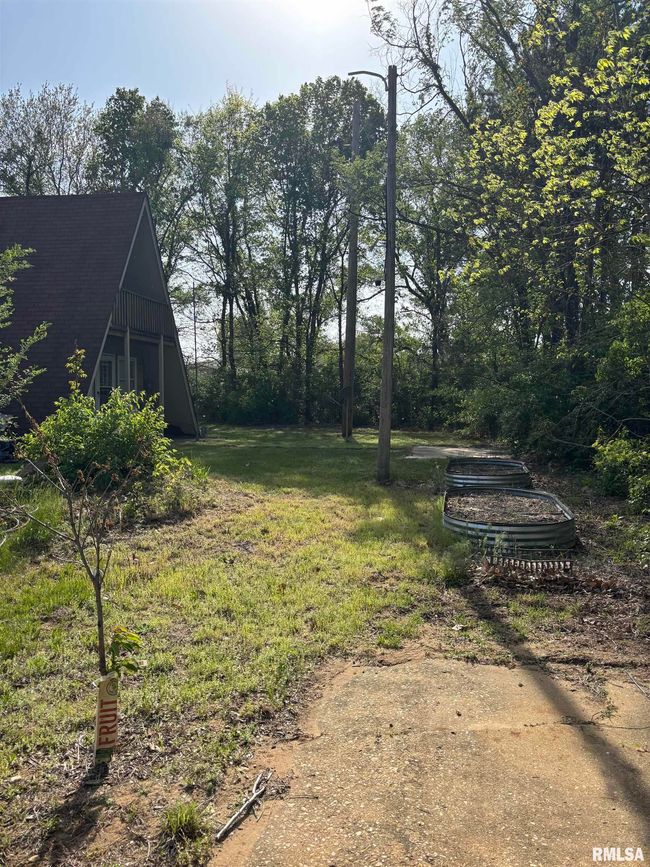 286 Kochs Ln, House other with 2 bedrooms, 2 bathrooms and null parking in Meredosia IL | Image 18