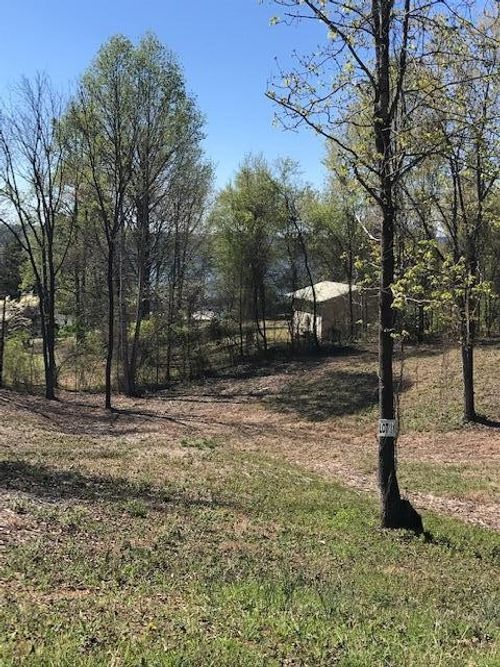 11 Piney View Dr, Spring City, TN, 37381 | Card Image