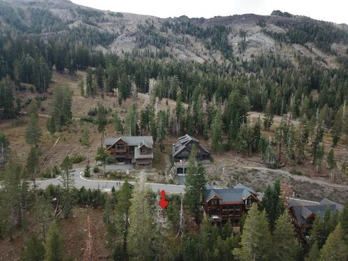 239 Palisades Dr, Kirkwood, CA, 95646 | Card Image