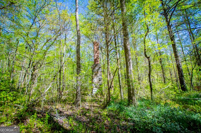 1975 Whooping Creek Rd, Home with 0 bedrooms, 0 bathrooms and null parking in Carrollton GA | Image 7