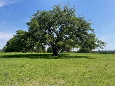 26039 Magnolia Lot 3 Road, Home with 0 bedrooms, 0 bathrooms and null parking in Hockley TX | Image 1