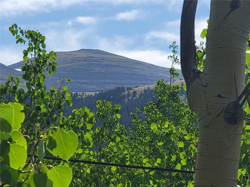 1191 Quartzville Rd, ALMA, CO, 80420-5116 | Card Image