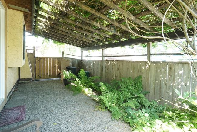 View of yard | Image 4