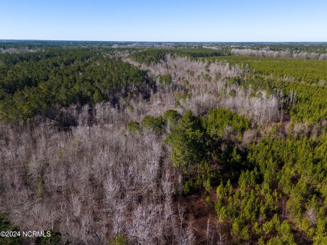 00 Sykes Town Rd, Home with 0 bedrooms, 0 bathrooms and null parking in Currie NC | Image 35
