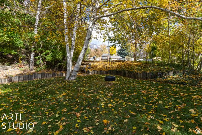 View of green lawn | Image 46