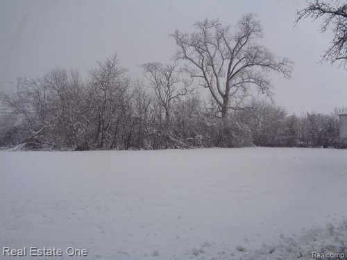 1043 Canton St, Detroit, MI, 48207-3729 | Card Image