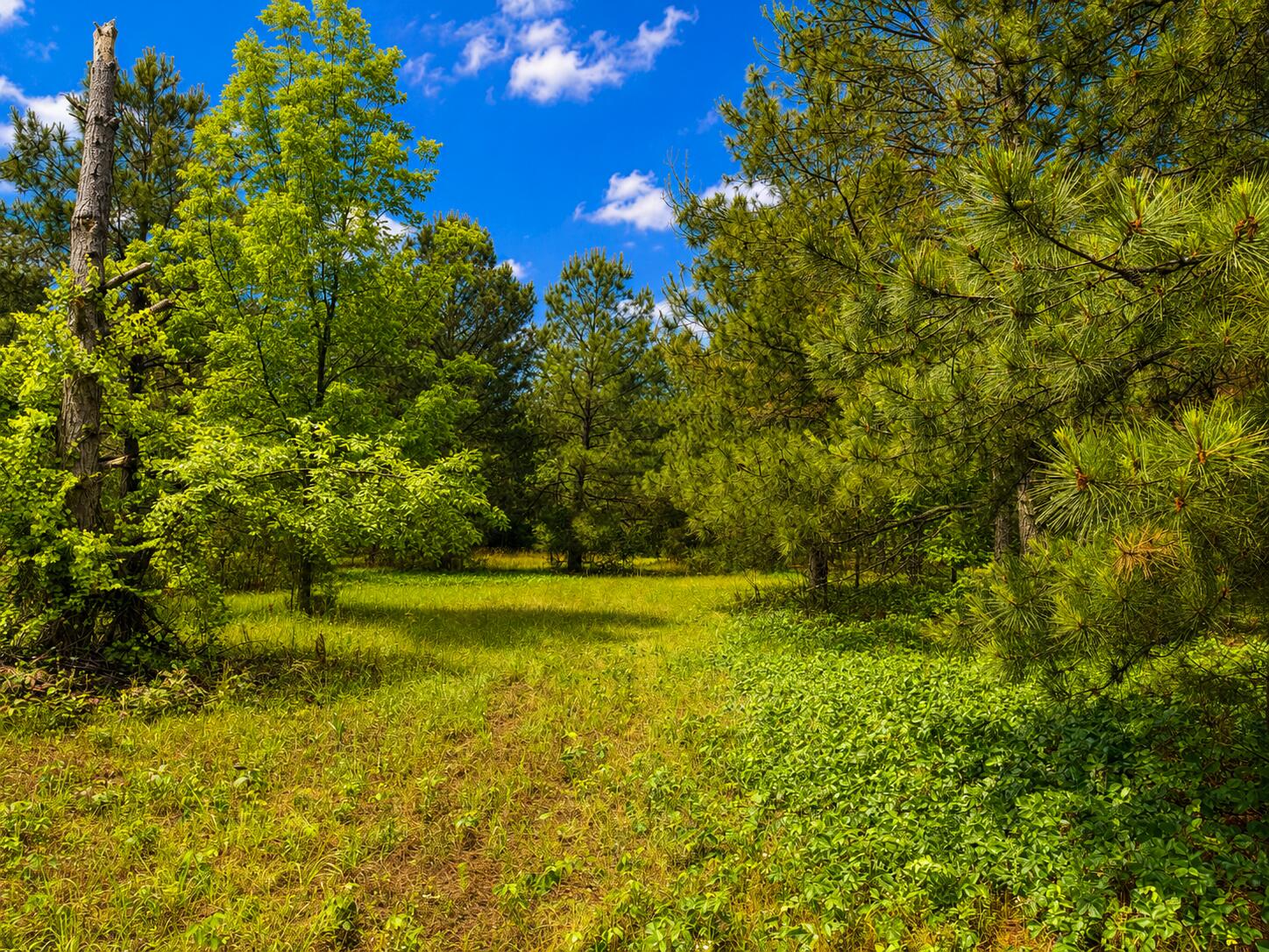 Land in Trenton 5