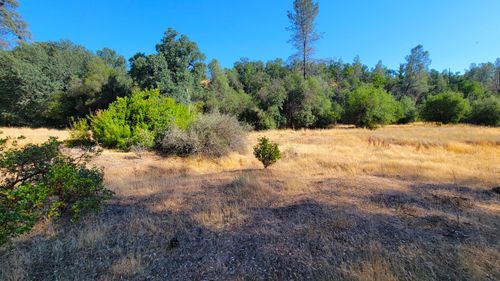 18135 Brincat Manor Rd, Cottonwood, CA, 96022-9374 | Card Image