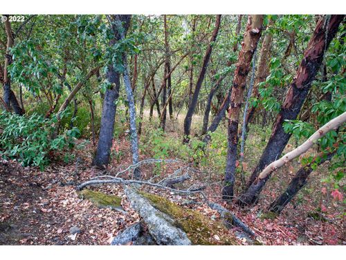 0 North Ct, Riddle, OR, 97469 | Card Image