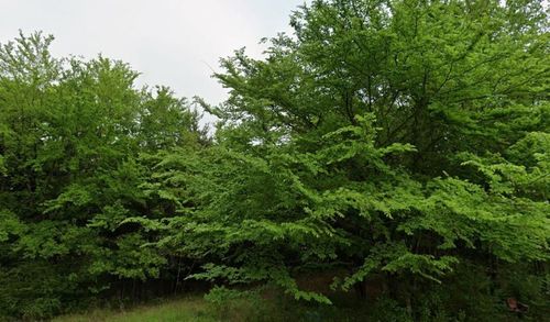 0 Sunset Bay Dr, Mabank, TX, 75156 | Card Image