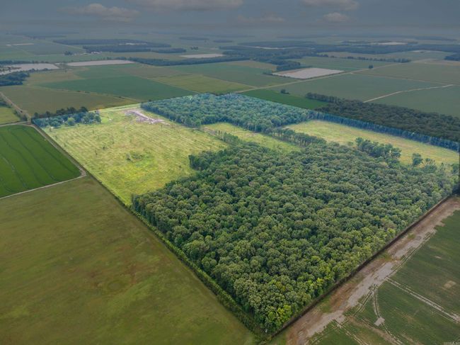 188 Robert Corder Rd, House other with 3 bedrooms, 1 bathrooms and null parking in Griffithville AR | Image 30