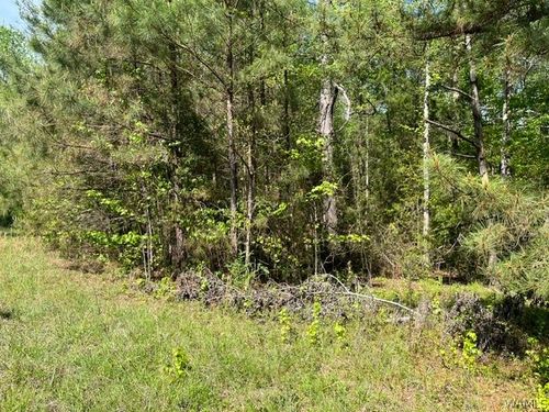 0 Deer Run Dr, Centreville, AL, 35042 | Card Image