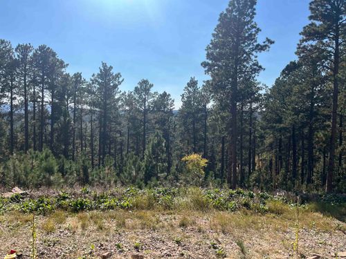 11795 Gilt Edge Rd, Deadwood, SD, 57732-7435 | Card Image