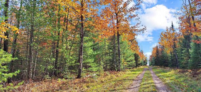 Lot 2, Block 1 Raspberry Trail, Home with 0 bedrooms, 0 bathrooms and null parking in LA POINTE WI | Image 4