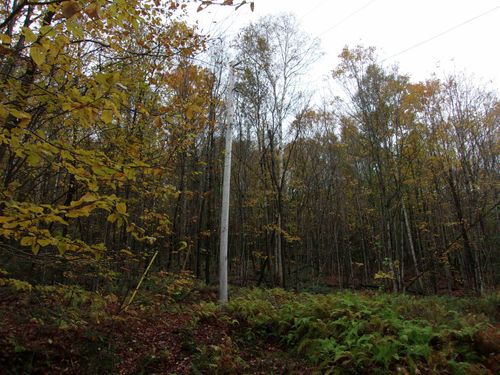 0 Foliage Ln, Barton, VT, 05822 | Card Image