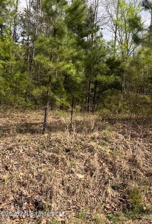 Lot 6 Matthews Dr, Byhalia, MS, 38611 | Card Image