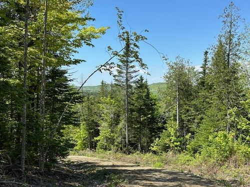Lot 10 Mt. Jefferson Heights, Lee, ME, 04455 | Card Image