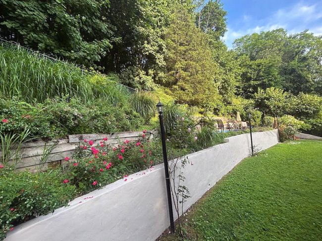 Tiered garden | Image 23