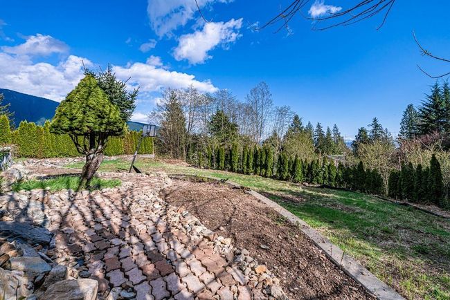 View of yard featuring a view of trees | Image 35