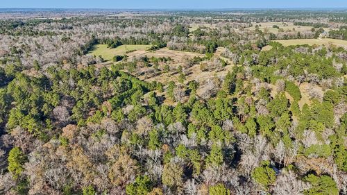 0 Bay Tree St, Trinity, TX, 75862 | Card Image