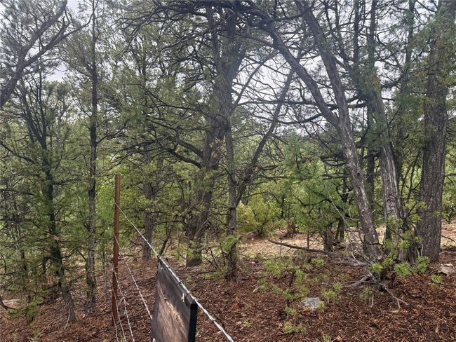 1 N Main St, Home with 0 bedrooms, 0 bathrooms and null parking in Pecos NM | Image 14