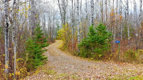 992 Nemadji River Rd, Holyoke, MN, 55749-3005 | Card Image