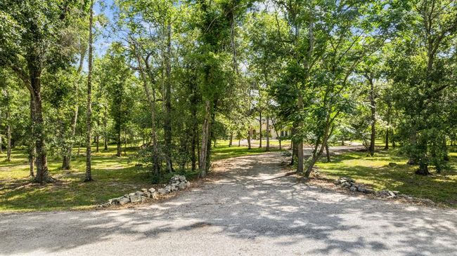 Charming approach framed by mature trees and natural stone edging, offering a private, forested welcome to the estate. | Image 43