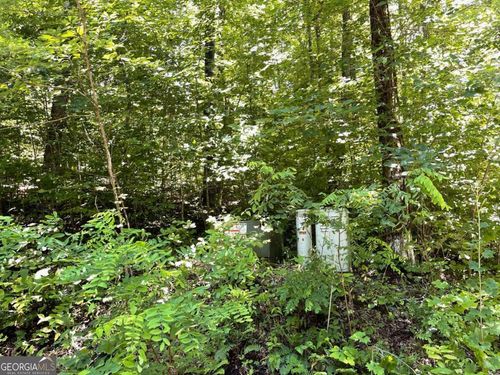 Lot 32 Fodder Creek Mill Rd, Hiawassee, GA, 30546 | Card Image