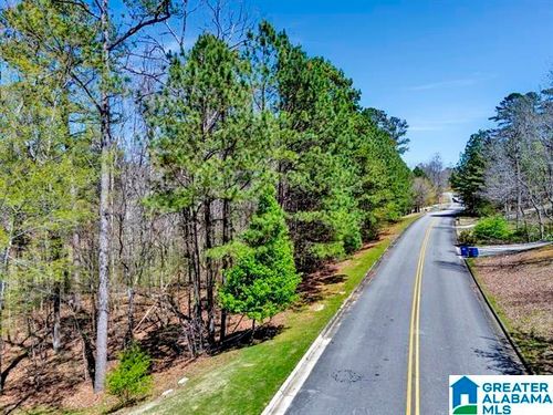 19-433 Saint Andrews Parkway, ONEONTA, AL, 35121 | Card Image