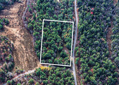 1036 Hopkins Rd, Gravenhurst, ON, P1P1R3 | Card Image