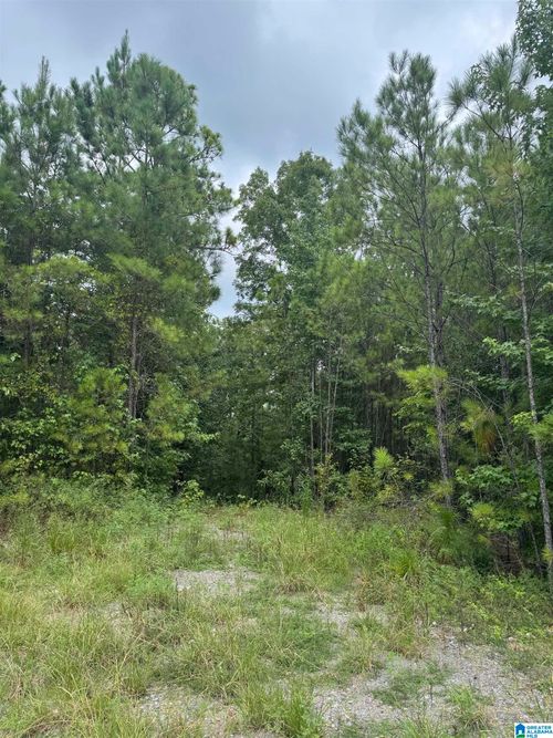 210-1 White Oak Rd, Sylacauga, AL, 35151 | Card Image