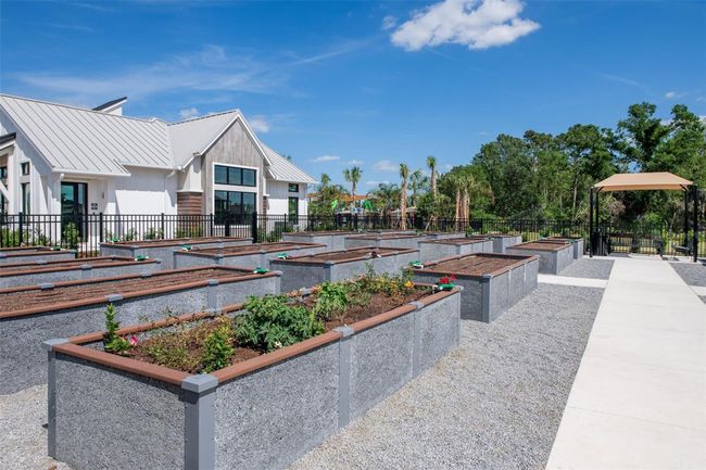 Vida’s Bloom Community Garden | Image 31