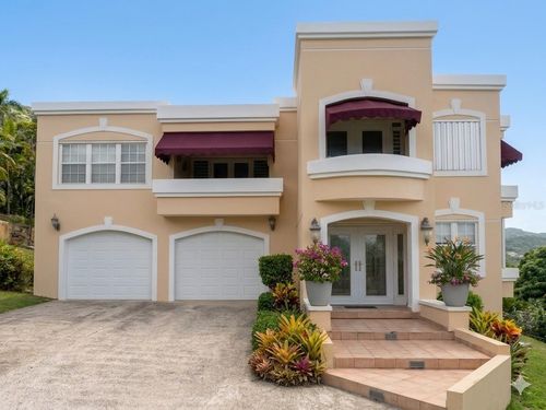 Bo Beatriz Las Piñas Finca Mi Recreo Lot 28, CAGUAS, PR, 00725 | Card Image