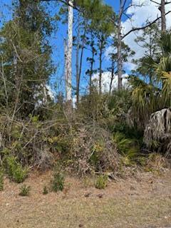 Land in North Port 3