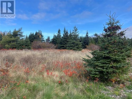 17-25 Bay Ridge Rd, Ferryland, NL, A0A | Card Image