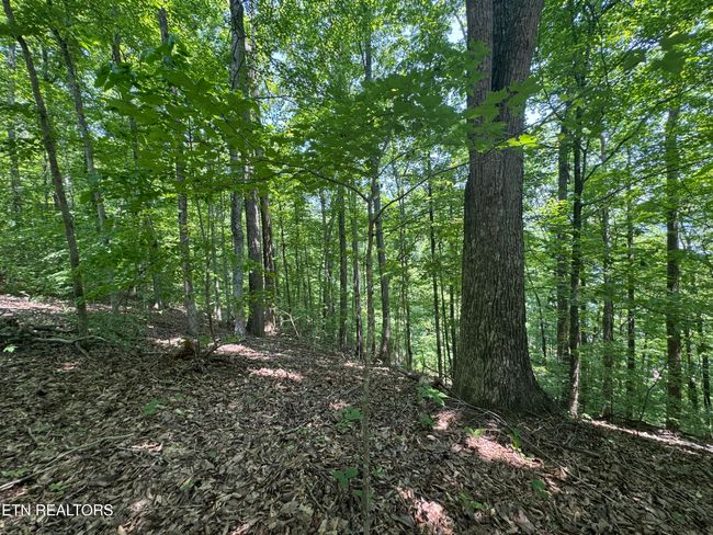 44 Ridgeland Dr, Home with 0 bedrooms, 0 bathrooms and null parking in Sharps Chapel TN | Image 14