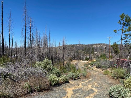 1465 Bald Rock Rd, Berry Creek, CA, 95916-9707 | Card Image