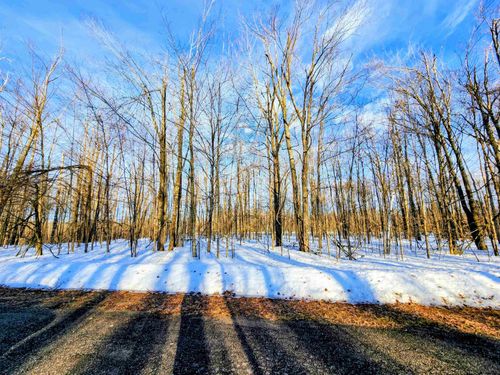 Lot 45 Terreton Cir, Elmira, MI, 49730 | Card Image