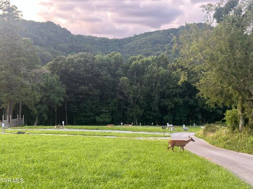 137 Dyer Road, Roan Mountain, TN, 37687 | Card Image