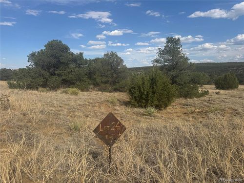 24 Black Diamond Park, Walsenburg, CO, 81089 | Card Image
