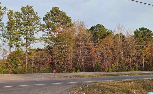 0-0 Highway 280, CHILDERSBURG, AL, 35044 | Card Image
