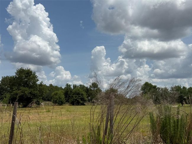 35215 Broken Bit Ln, House other with 3 bedrooms, 2 bathrooms and null parking in ZEPHYRHILLS FL | Image 38
