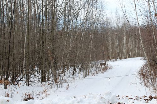 000 Badger Ave, Granton, WI, 54436 | Card Image