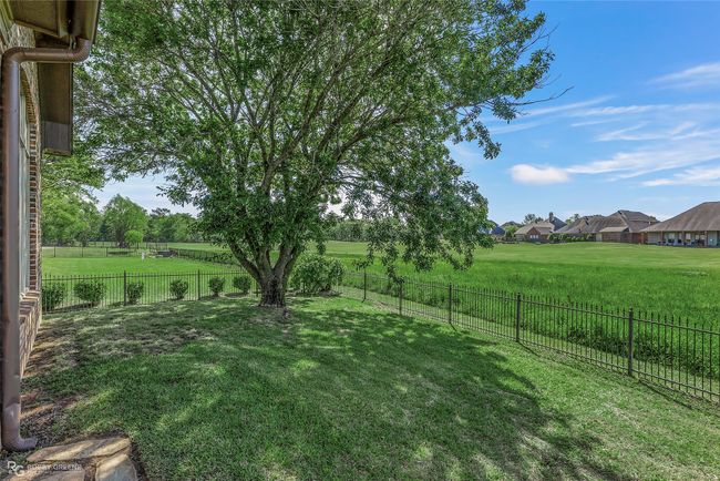 Plenty of yard to enjoy a picnic! | Image 35