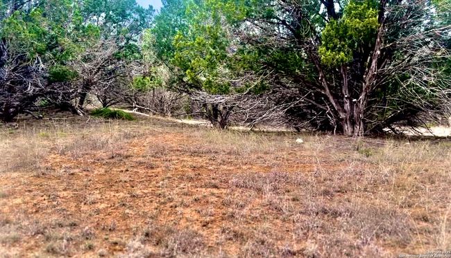 0 Creekside At Camp Verde Phase 2 Lot 151, Home with 0 bedrooms, 0 bathrooms and null parking in Center Point TX | Image 9