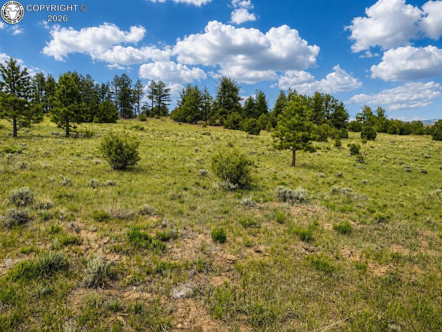 Land in Gardner