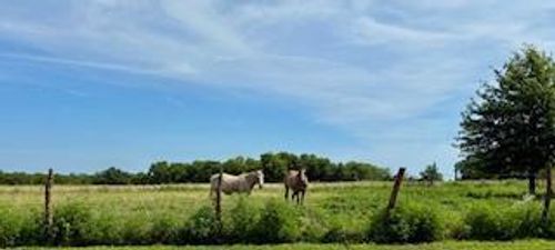 000 State Highway H, Weaubleau, MO, 65774 | Card Image