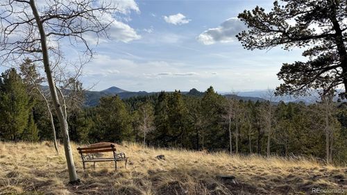 239 Homestead Rd, Divide, CO, 80814-8906 | Card Image