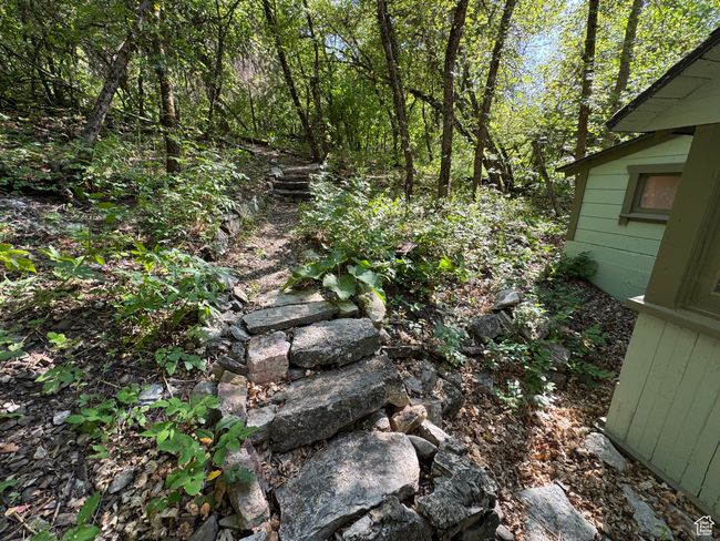 View of yard with a wooded view | Image 14